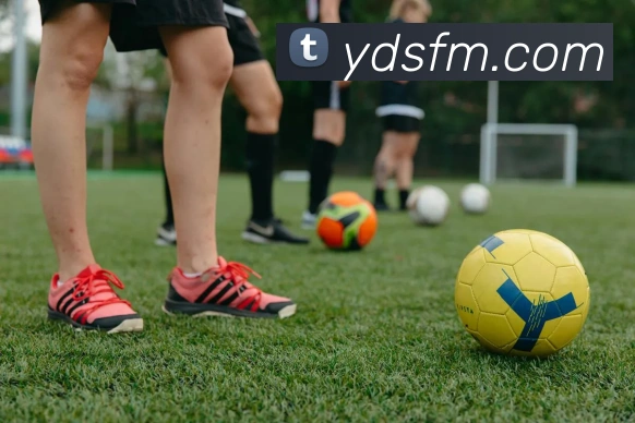 星空平台生态图