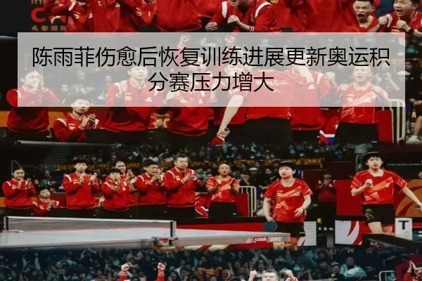 陈雨菲伤愈后恢复训练进展更新奥运积分赛压力增大
