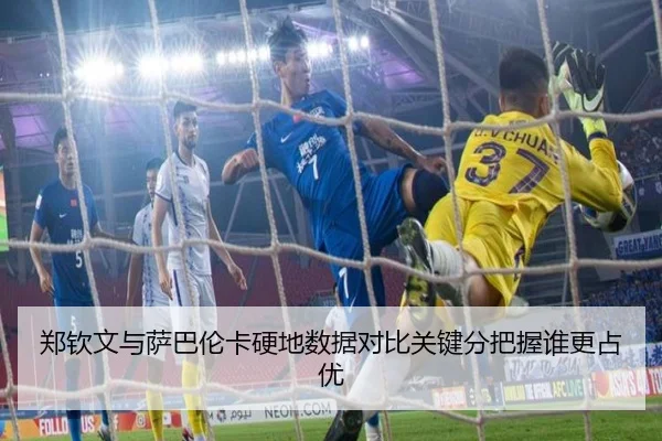 郑钦文与萨巴伦卡硬地数据对比关键分把握谁更占优